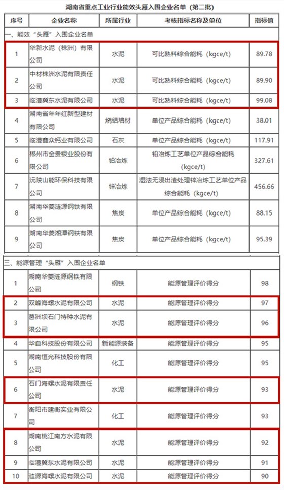 “頭雁”企業(yè)名單