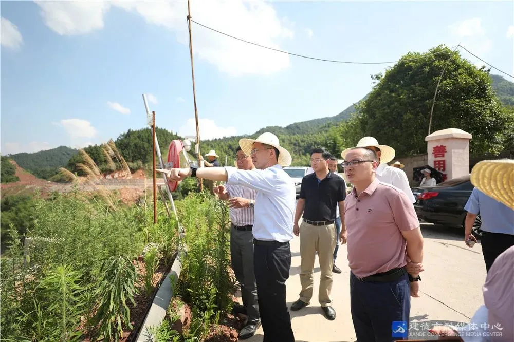 建德南方水泥有限公司綠色建材產(chǎn)業(yè)園