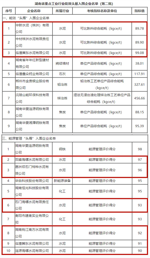 “頭雁”企業(yè)名單