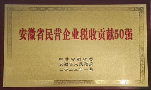 安徽省民營企業(yè)稅收貢獻50強