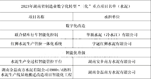 重點項目名單