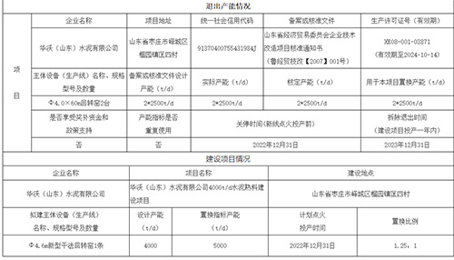 產(chǎn)能置換項目